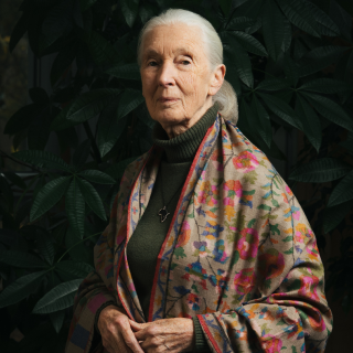 A woman with a white ponytail and a multicolored shawl posing with a poised expression.