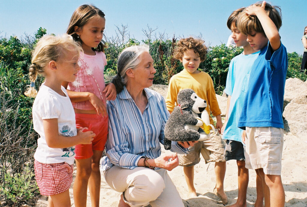 A photo of a middle-aged, feminine person with light skin and grey hair in a ponytail (Dr. Jane Goodall) kneeling down on a beach and holding a plushy monkey toy while talking to a group of five children of varying appearances.