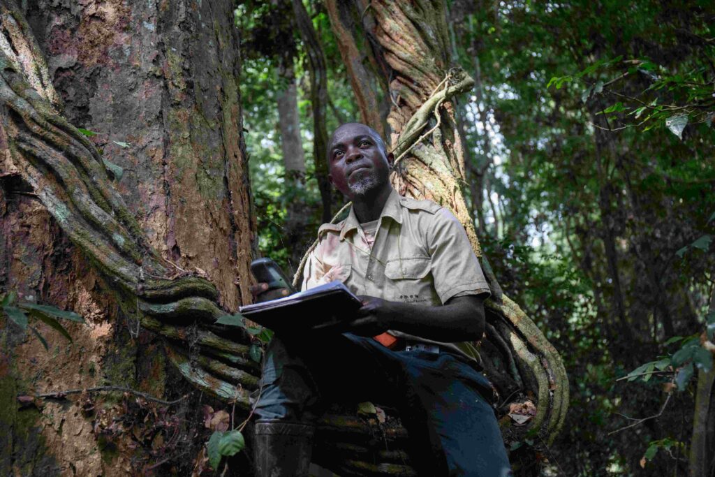 A masculine person of dark complexion wearing a tan field collared shirt looks up at the canopy while taking notes on a clipboard in a forest setting.