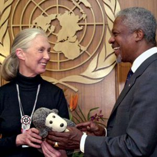 A woman in a black turtleneck with a white ponytail (Jane Goodall) stands next to a man in a dark suit.