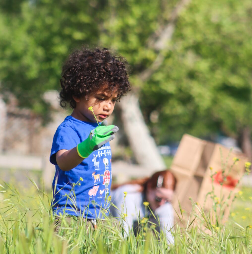 A photo of a child with light brown skin and curly, brown hair standing outside in the grass and picking a flower.