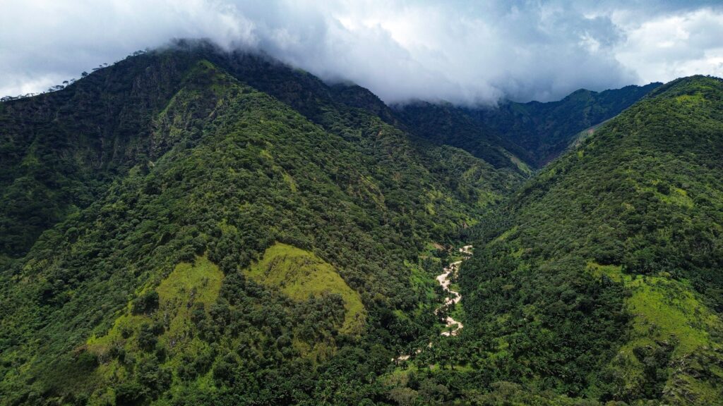 A photo of a forested hillscape with a cloudy sky.