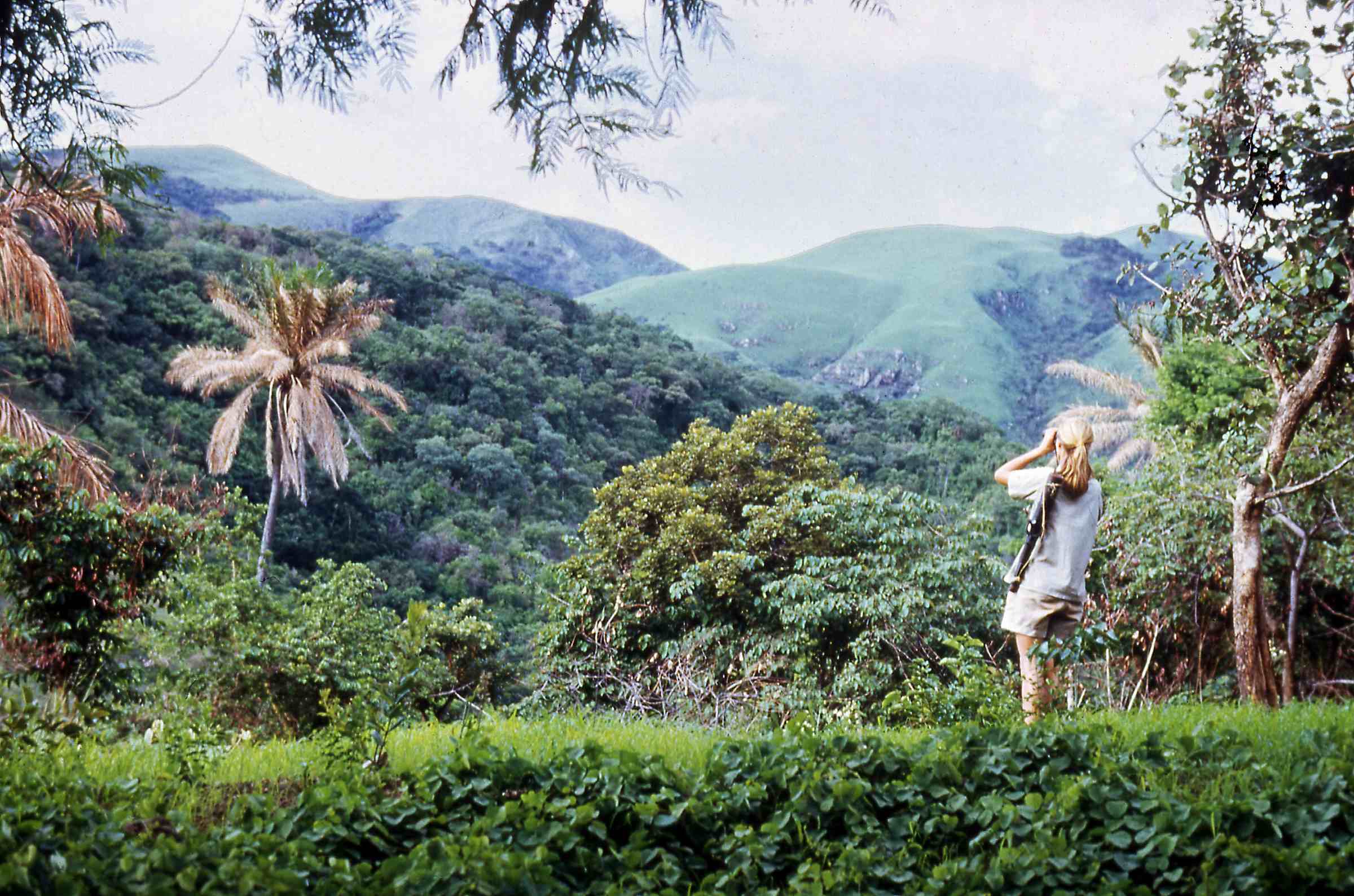 A photo of a young, feminine person with light skin and blond hair in a ponytail (Dr. Jane Goodall) using binoculars to look out over a forested hillscape.