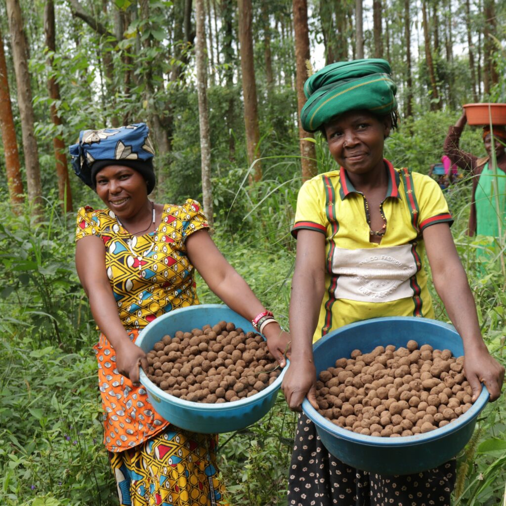 A photo of two middle-aged, feminine people with medium brown skin walking through a forest and carrying buckets of seed balls.