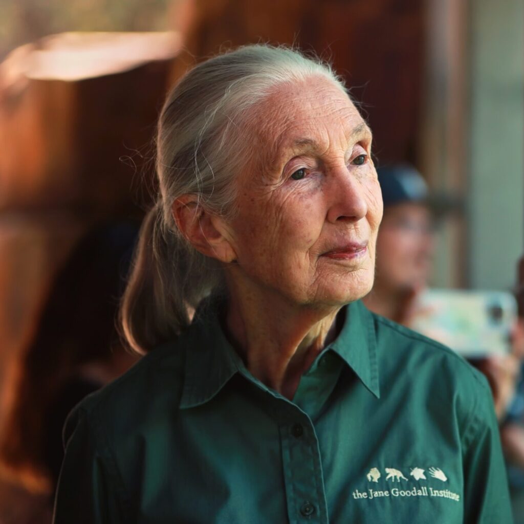A photo of an elderly, feminine person with light skin and white hair in a ponytail sitting next to a glass wall.