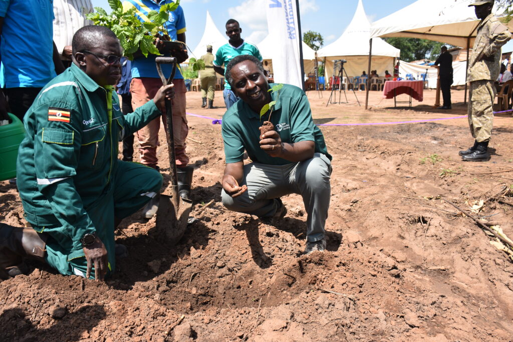 A photo of a middle-aged, masculine person with dark skin and curly, black hair planting a seedling in the ground as others watch.