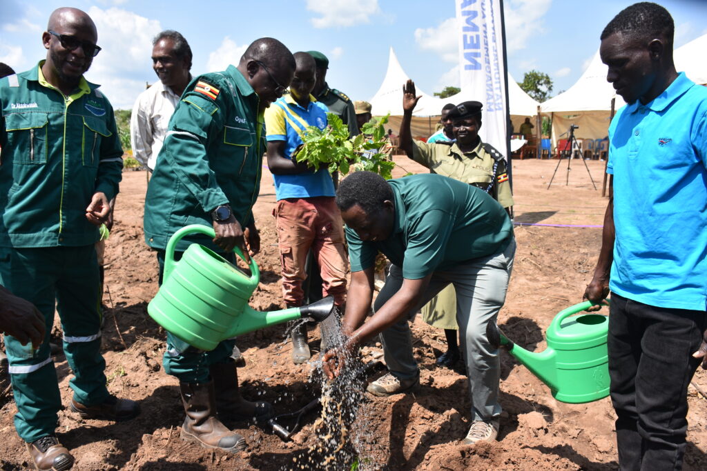 A photo of a middle-aged, masculine person with dark skin and curly, black hair watering a seedling in the ground as others watch.