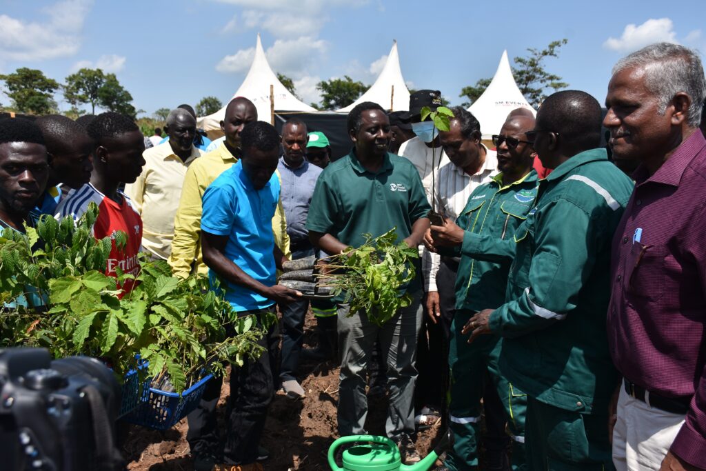 A photo of about twenty masculine people of varying appearances standing outside and inspecting a basket of seedlings.