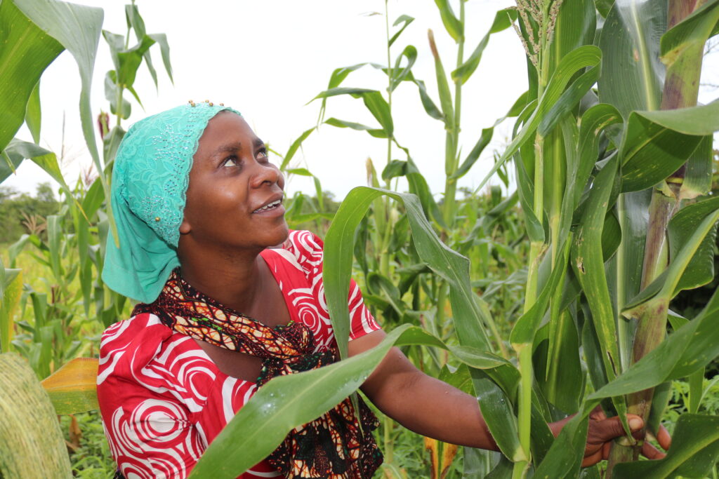 A photo of a young, feminine person with medium brown skin standing in a field of corn and smiling as she looks up at one corn stalk.